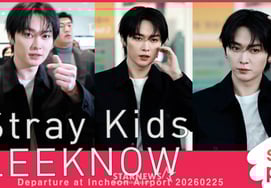 Stray Kids LEE KNOW. So cool!' [★ Video]