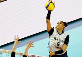 [相片儿] "高度非常高" Silva