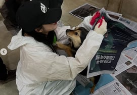 TzuYang, 13 triệu Youtuber khác nhau mà.'Cảm thán' trước sức ảnh hưởng tình nguyện của cún bị bỏ rơi