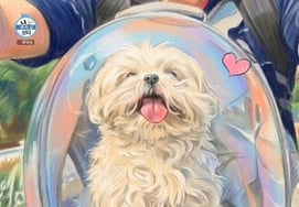 『ナホンサン』、故・コッブンを追悼..みんなを泣かせた