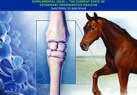 Đăng tải EVJ trên tạp chí Y học thú y của Hiệp hội Ngựa Hàn Quốc