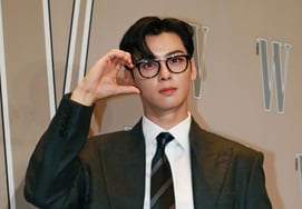 После «подозрительного уклонения от уплаты налогов» Ча Ыну был предложен закон о предотвращении уклонения от уплаты налогов развлекательными агентствами.