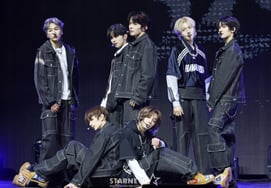 'От Bopple 2' Тюнекс "Бери и свинья, искренняя поддержка мульти ...Ответить и отдать"