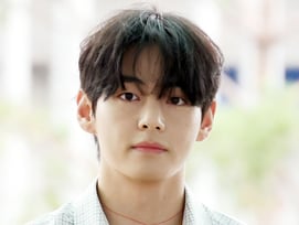 방탄소년단 뷔, 12월 생일 투표 9관왕..역대 최다 포도알 득표