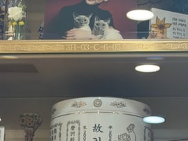 '1주기' 故 김새론 찾은 이영유, 절절한 그리움.."우리 론이 하루도 잊지 않아"