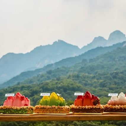 하이앤드 리조트 안토, 관광객 투숙 쭉쭉 성장