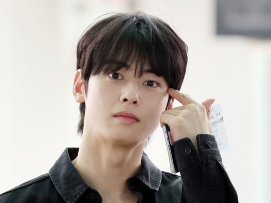 차은우, 200억 탈세인가 아닌가..고의 있다면 최소 징역 5년