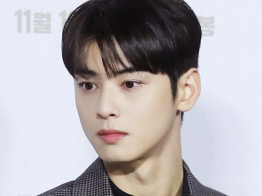 차은우 母 장어집 상표 출원까지