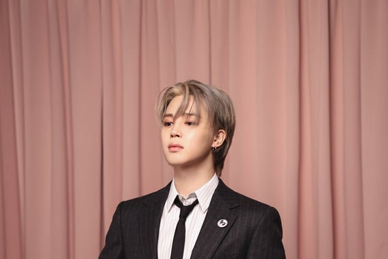 Чимин из BTS, Чимин из Чили также 'K-pop Front Line Defenders'