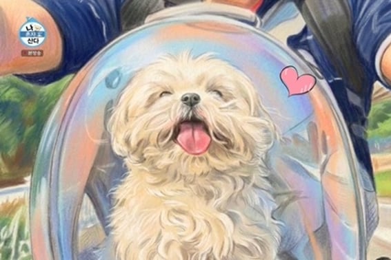 Hoa tưởng niệm cố diễn viên Na Hon Sanlàm mọi người khóc