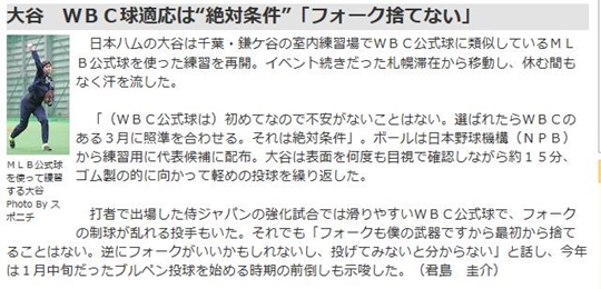 /사진=스포니치아넥스 홈페이지