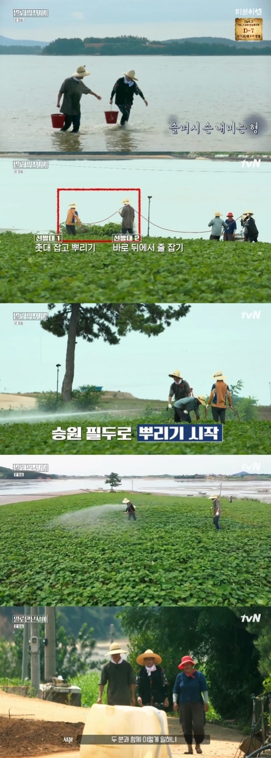 /사진= tvN 예능프로그램 '일로 만난 사이' 방송화면 캡처
