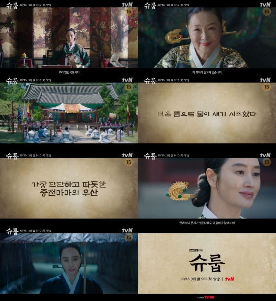 /사진=tvN '슈룹'