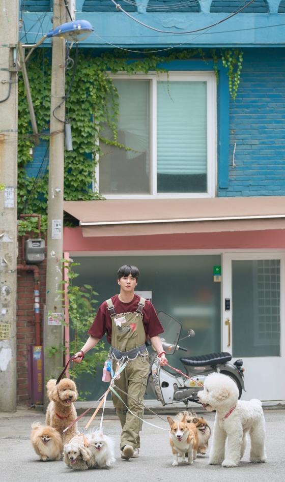사진제공 = 제이플랙스(Jflex), 아이윌미디어