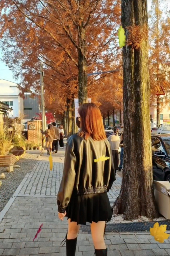 /사진=조예영