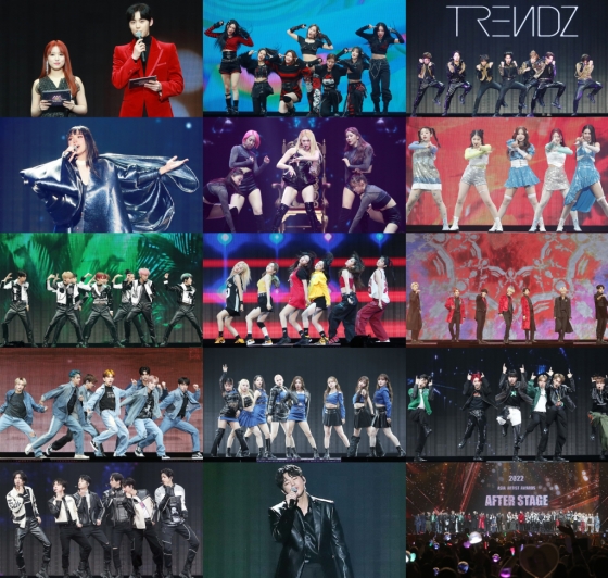 /사진='2022 Asia Artist Awards IN JAPAN'