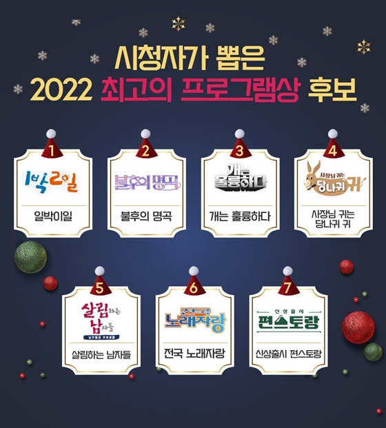 2022 KBS 연예대상의 '시청자들이 뽑는 최고의 프로그램상' 후보./사진=KBS 연예대상
