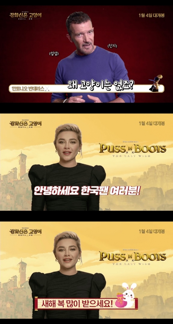 /사진='장화신은 고양이'