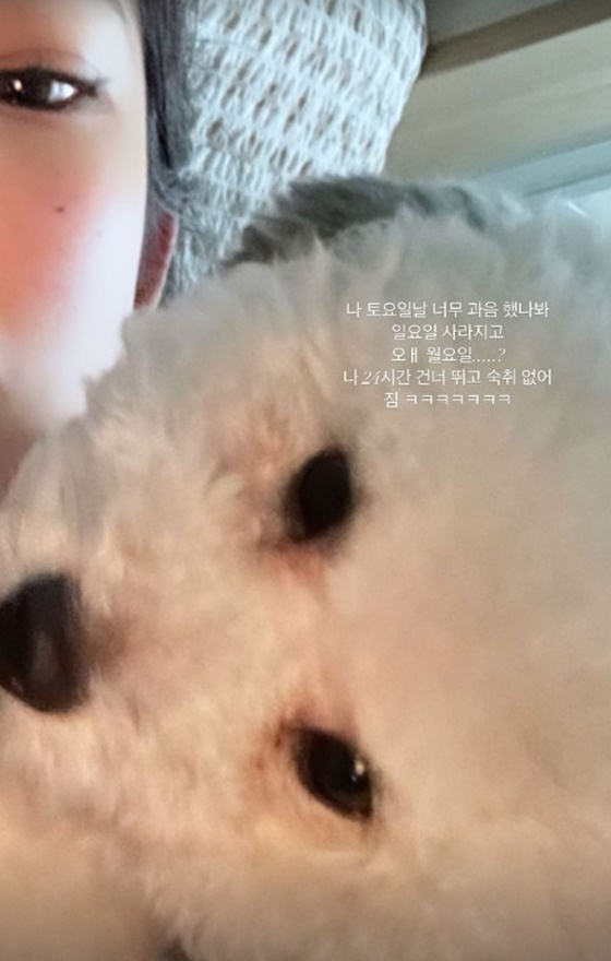 /사진=최준희