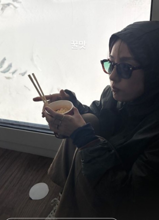 /사진=이효리