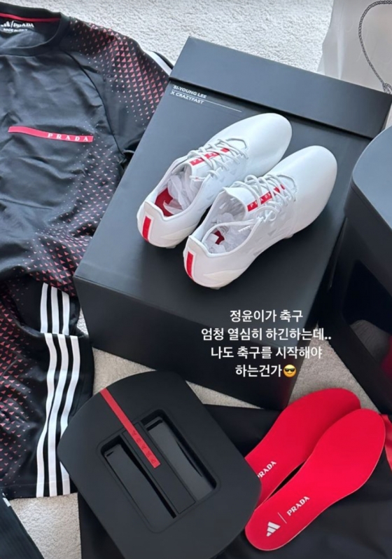 /사진=이시영