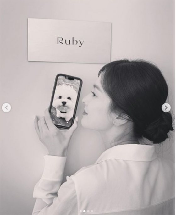 /사진=송혜교