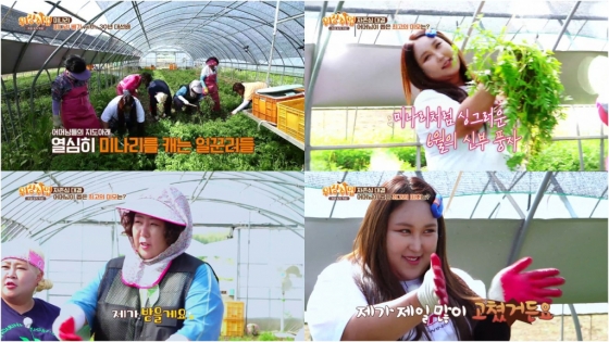 /사진=채널S, KBS Joy