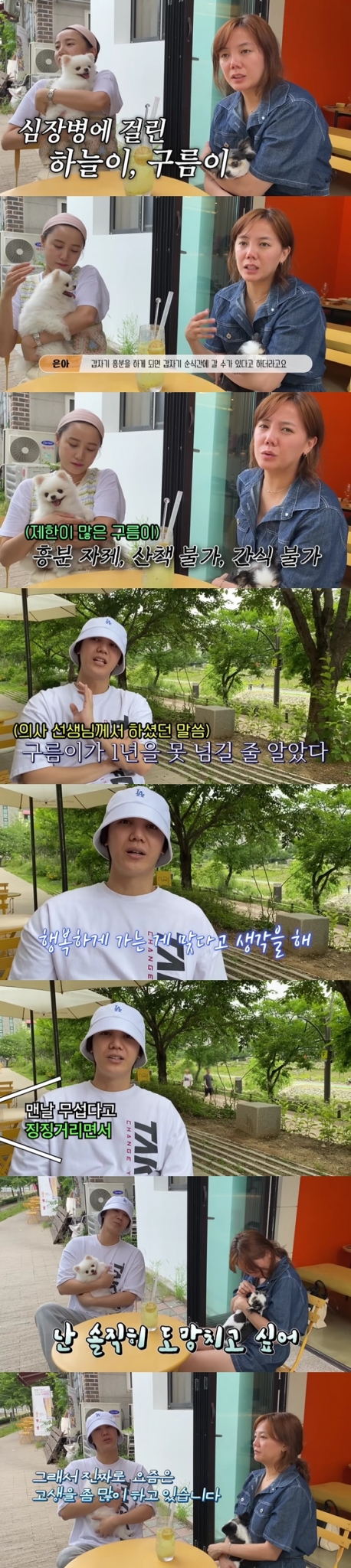 /사진=유튜브 채널 방가네