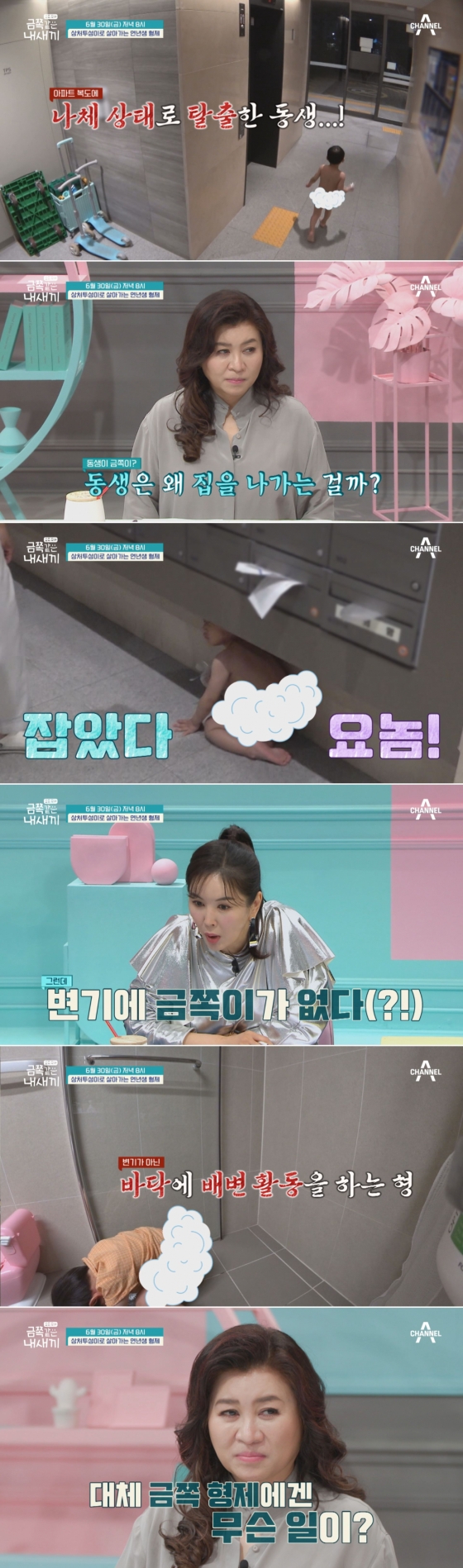 /사진제공=채널A
