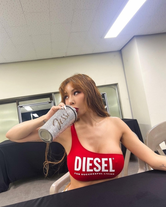 /사진=제시 SNS