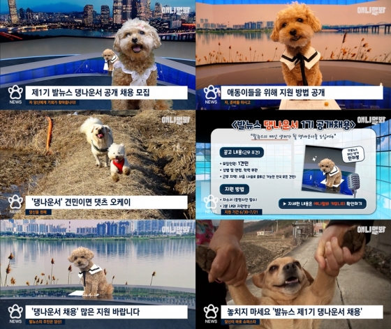 /사진=SBS