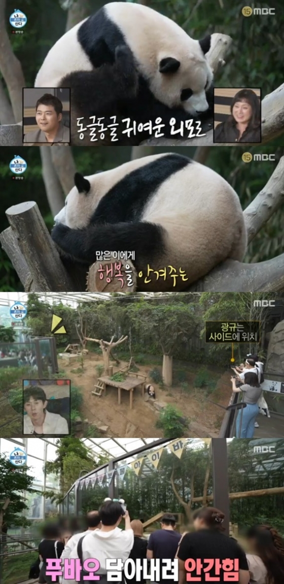 /사진='나 혼자 산다' 화면 캡처