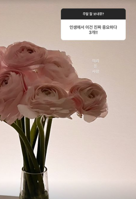 /사진=유혜원