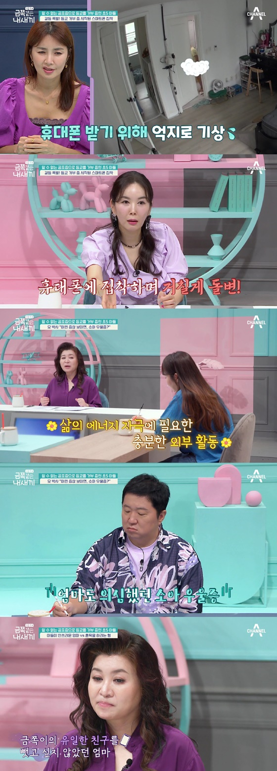 /사진=채널A 방송화면