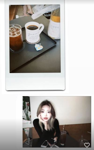 /사진=최준희