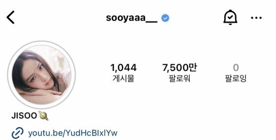 /사진=지수 인스타그램