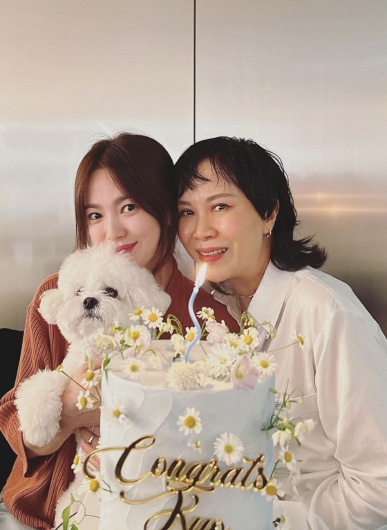 /사진=송혜교