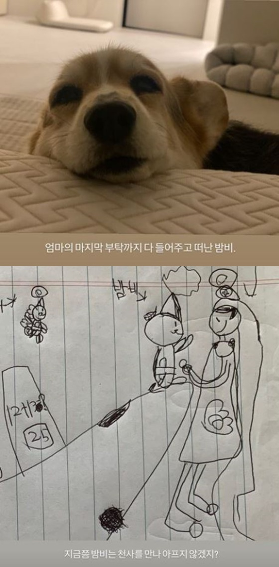 /사진=윤승아 인스타그램