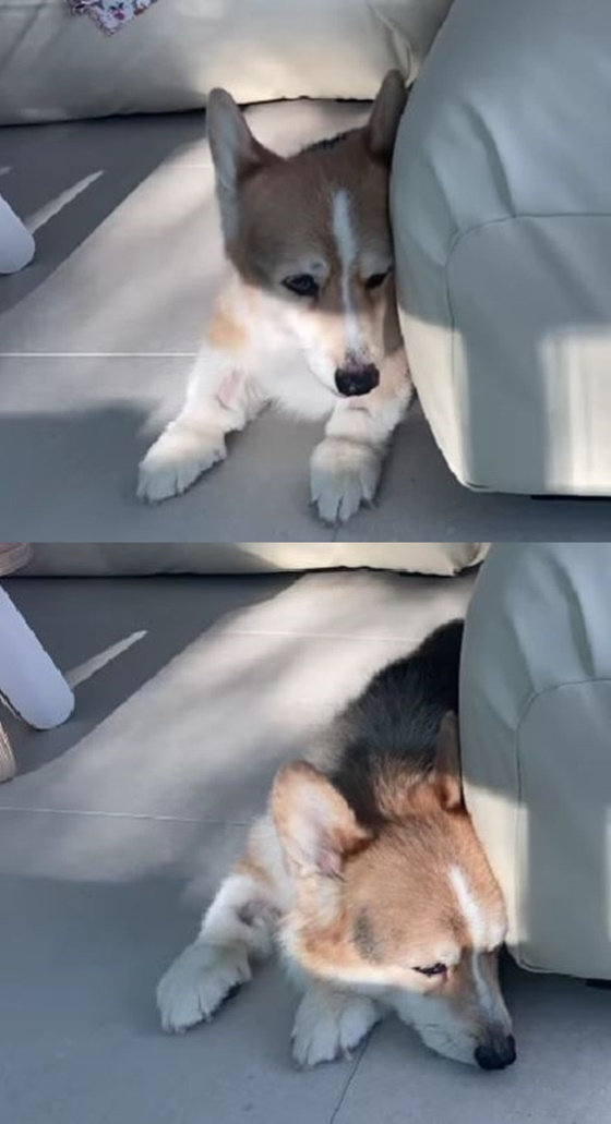 /사진=윤승아 인스타그램