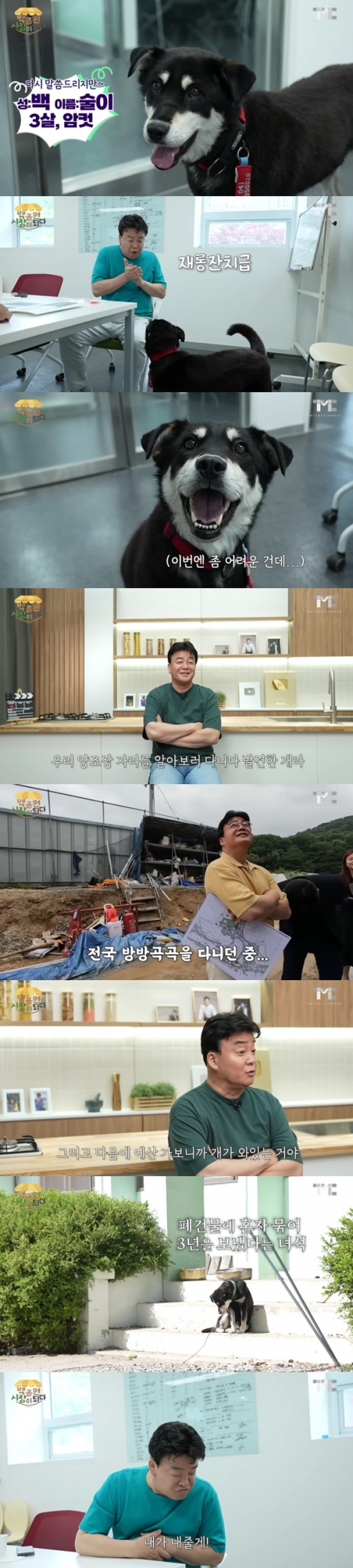/사진=백종원 유튜브 채널