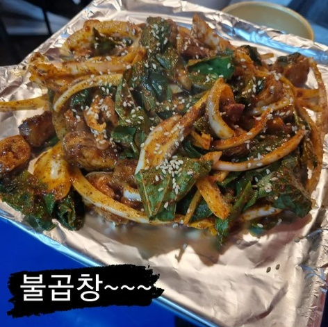 /사진=16기 광수