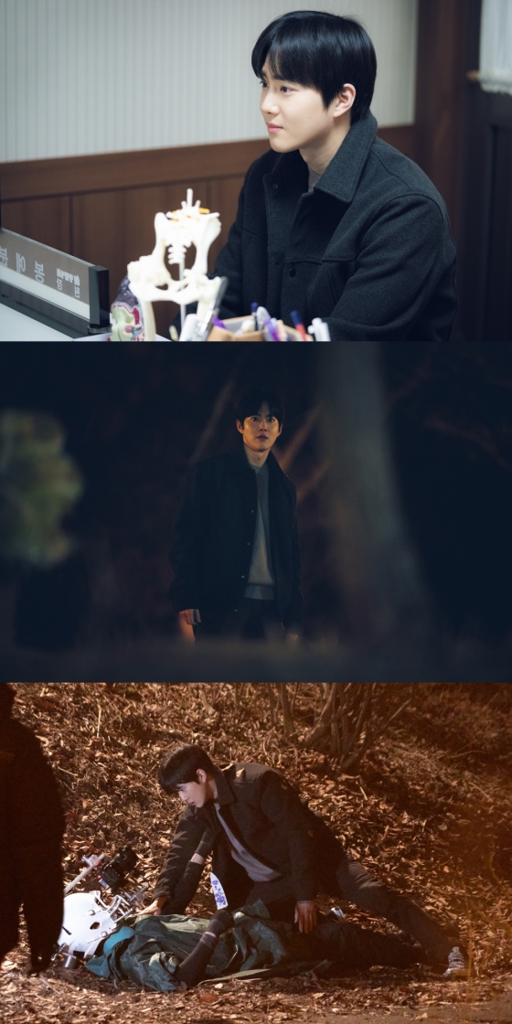 /사진=SM엔터테인먼트, 스튜디오 피닉스, 스튜디오 SLL
