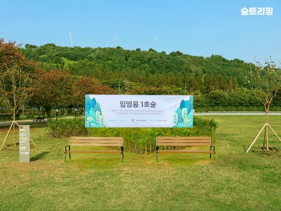 임영웅 숲(사진=멜론 매거진)