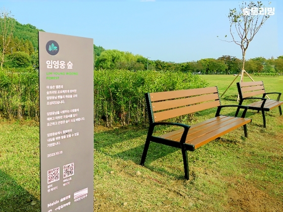임영웅 숲(사진=멜론 매거진)