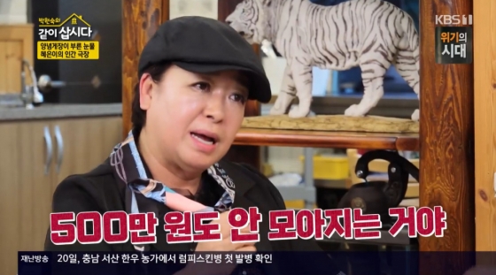 /사진=KBS 1TV '박원숙의 같이 삽시다'