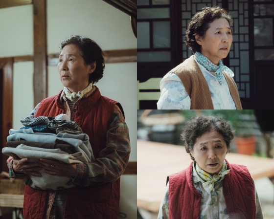 /사진=tvN