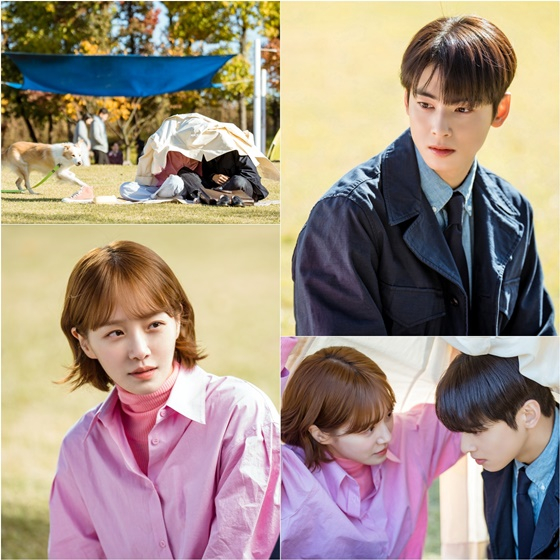 오늘도 사랑스럽개/사진=MBC