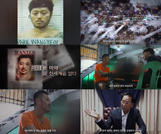 /사진제공=웨이브
