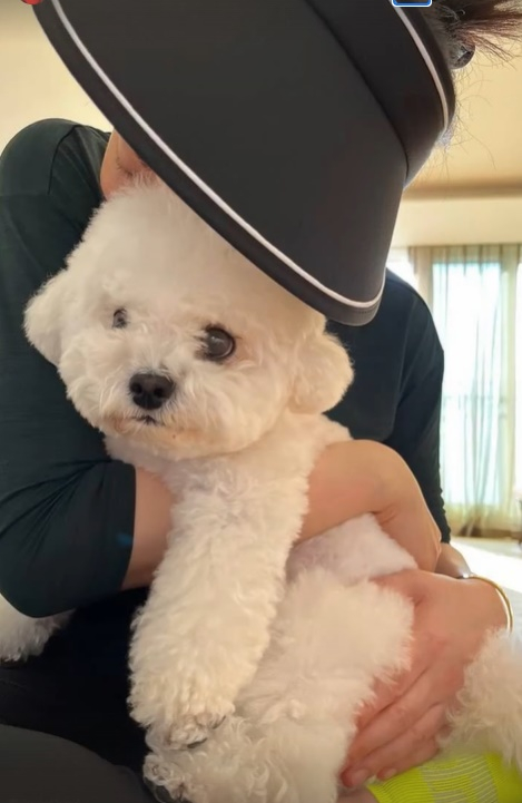 /사진=김혜수