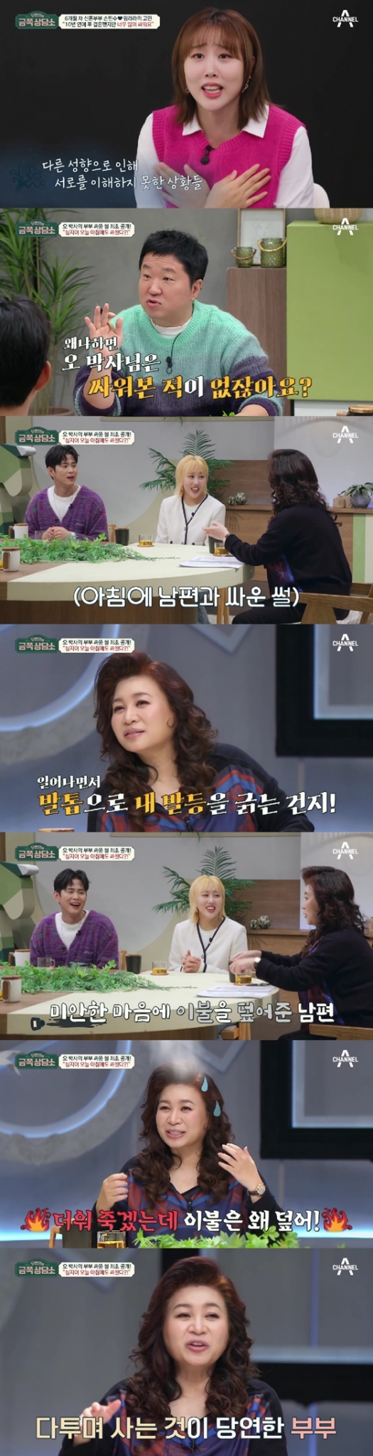 /사진=채널A 방송화면